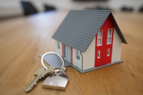 Pre-sue report service to evaluate assets and liabilities before litigation